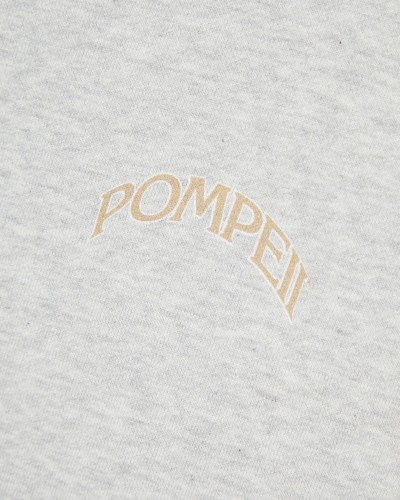 SUDADERA GRIS FOUNTAIN