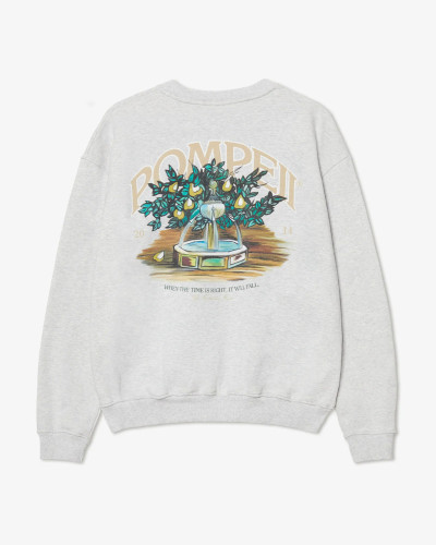 SUDADERA GRIS FOUNTAIN