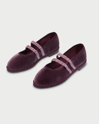 FLABELUS AMATISTA LAURANCE