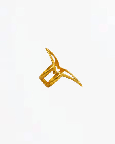 ANILLO VERTICE