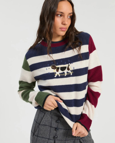 JERSEY RAYAS PERRO CHUBASQUERO